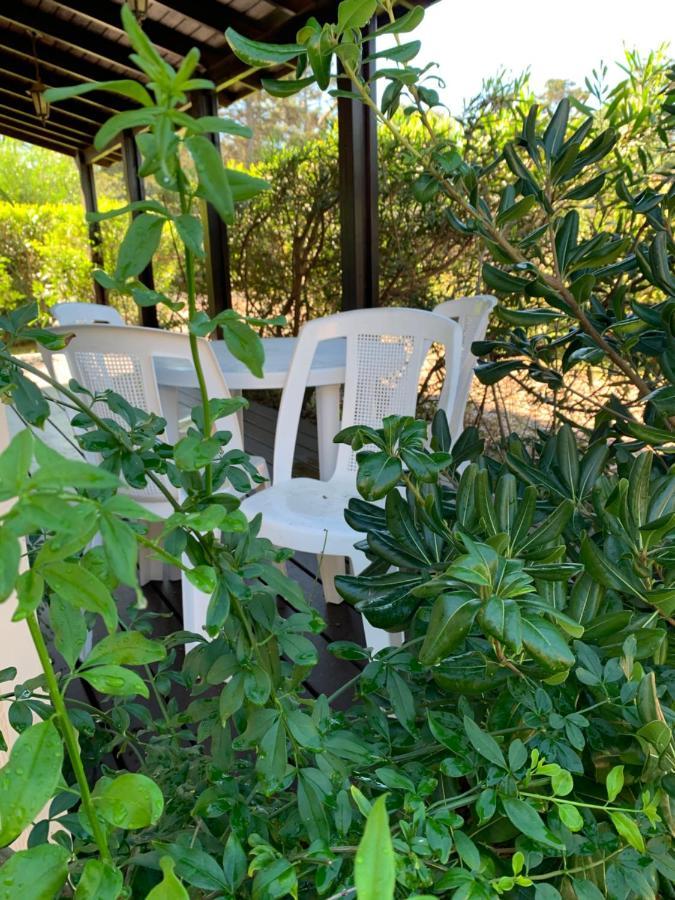 Cabanas Del Este Sauce de Portezuelo Exteriör bild